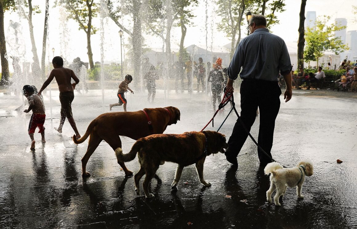 New York Is About to Feel Hotter Than Phoenix