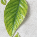 CLEAN SPACES, SMALLER FOOTPRINTS
